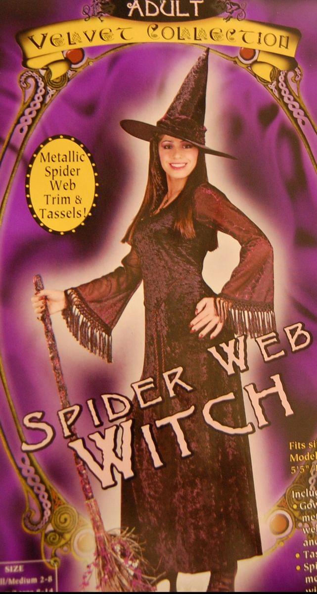 Spider Web Witch Costume Small/Medium 2-8