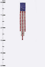 American Flag Rhinestone Fringe Earrings