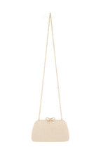 Glitter Clutch Crossbody bag