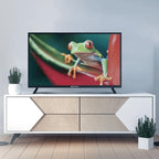 Emerson 32 In Class HD LED Television w DVD Player
