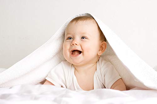 bambini Infant Boys T-Shirts and Boxer Shorts - Medium White/Blue