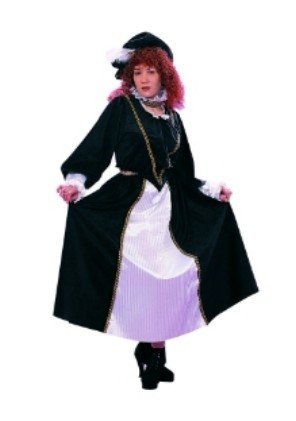 Queen Mary Of Scotts Costume - Size Womens Plus 18-20