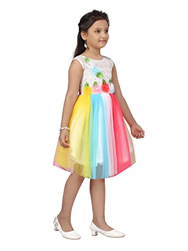 Aarika Girls Multi Colour Embellished Self Design Net Frock (6 Month-6 Years)