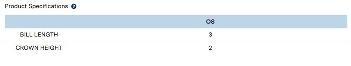 Authentic Pigment 1917 Pigment-Dyed Raw-Edge Patch Baseball Cap