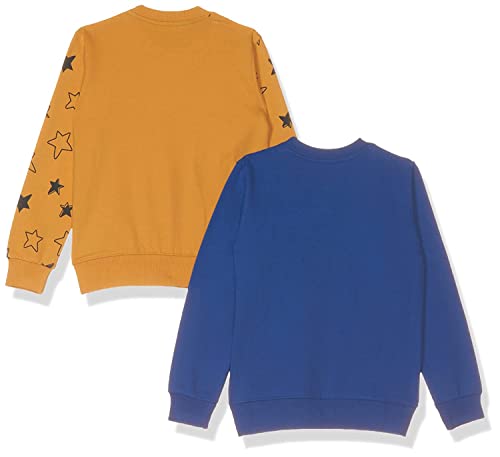 T2F Boys Cotton Printed Round Neck Sweatshirt (Pack of 2)