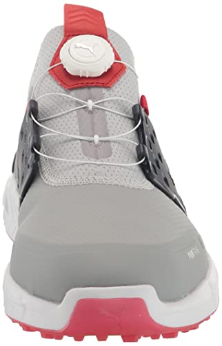 PUMA Men's Ignite Articulate Disc Golf Shoe, High Rise Silver-Navy Blazer, 8.5