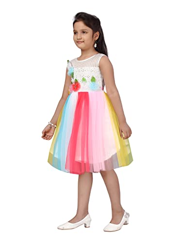 Aarika Girls Multi Colour Embellished Self Design Net Frock (6 Month-6 Years)