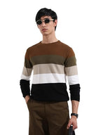 The Indian Garage Co Mens Slim Fit Colourblocked Long Sleeves Crew Neck Flat Knit T-Shirt