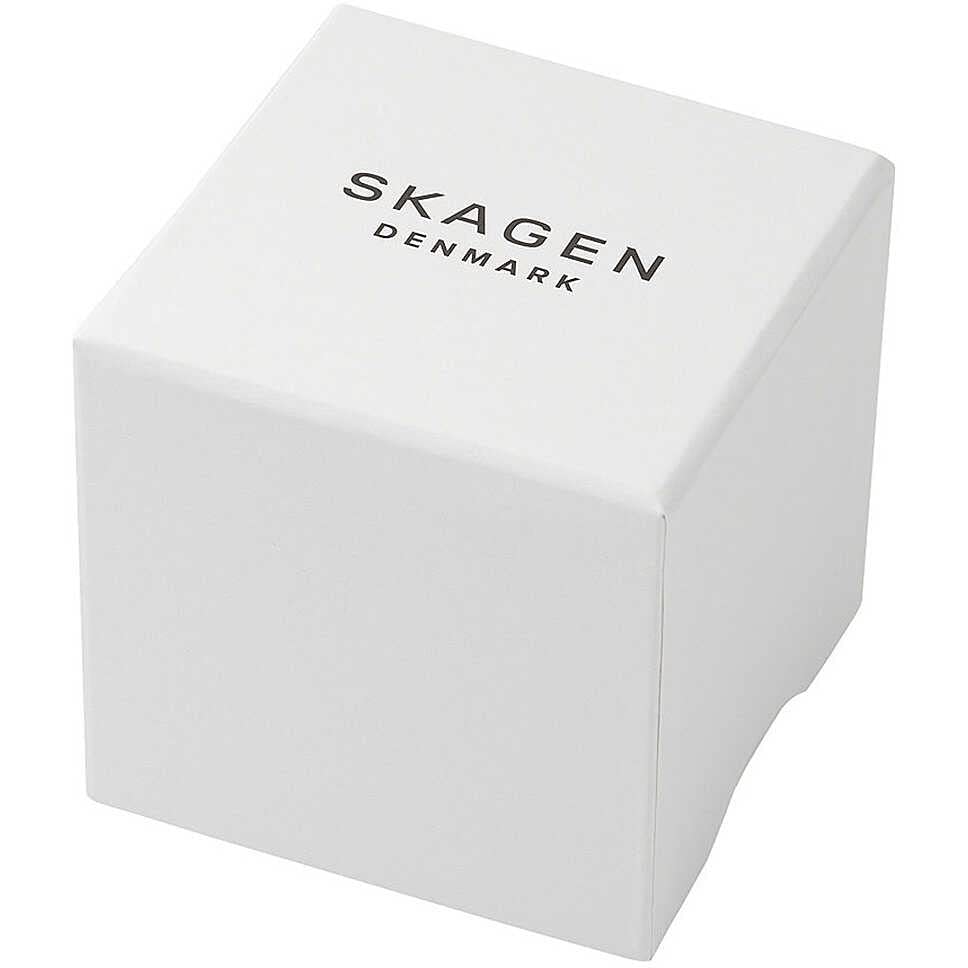 Skagen Men's Melbye Three-Hand Day Date Charcoal Gray Titanium Mesh Band Watch (Model: SKW6007)