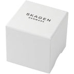Skagen Men's Melbye Three-Hand Day Date Charcoal Gray Titanium Mesh Band Watch (Model: SKW6007)