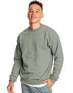 Hanes mens Ecosmart Sweatshirt, Stonewashed Green, XX-Large US