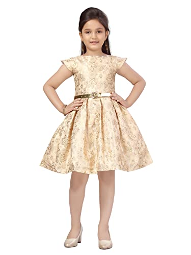 Aarika Girls Cotton Blend A-Line 4-5 Years Dress (NV-FK-22154_Fawn