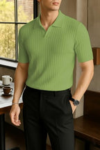 Leriya Fashion MenS Cotton Regular Fit Polo T-Shirt  Plain & Comfortable Light Green