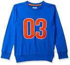Pepe Jeans BoyS Cotton Sweatshirt (Pibt200010_Royal_16)