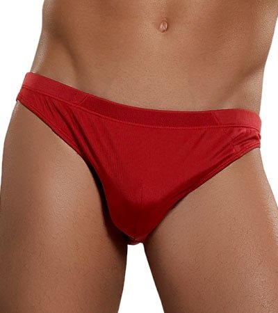 Magic Silk Bikini Brief, Black, Small