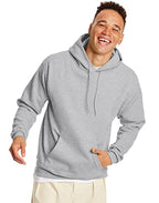 Hanes mens Pullover Ecosmart Hooded Sweatshirt Hoody, Ash, 3X-Large US