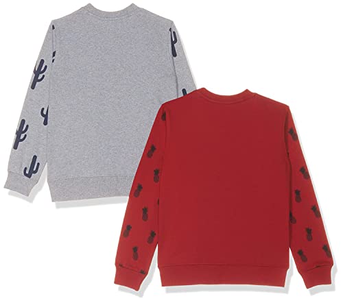 T2F Boys Cotton Printed Round Neck Sweatshirt (Pack of 2)