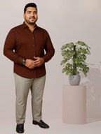 Leriya Fashion Shirt Brown