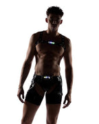 6506 - Pride Vinyl Chaps