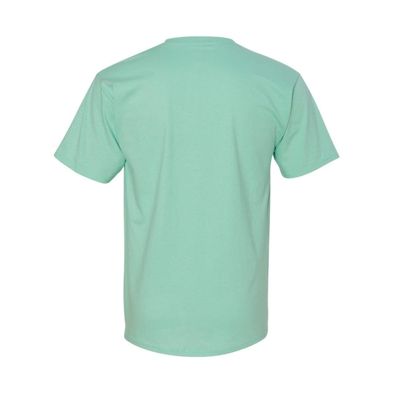 Hanes Men's 6 oz. Authentic-T T-Shirt 5XL Clean Mint