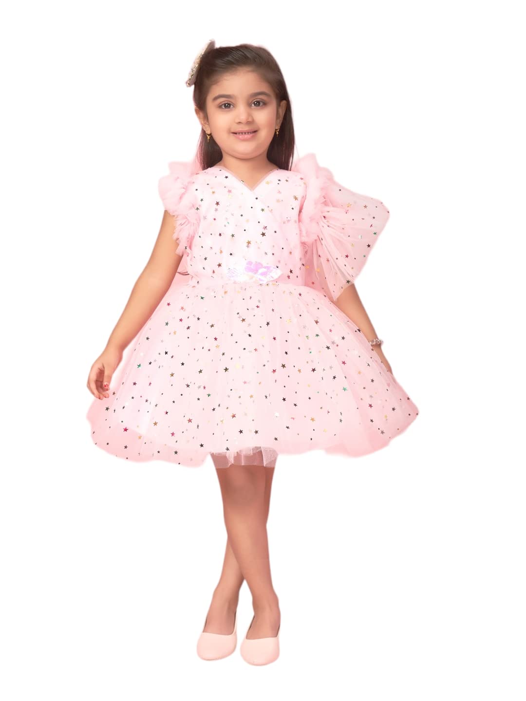 Aarika Baby-Girls Net Fit and Flare Above The Knee Dress (New_FK-16010_Pink