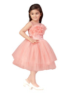 Aarika Girls Nylon Fit and Flare Knee-Length Dress (FK-1655_Peach