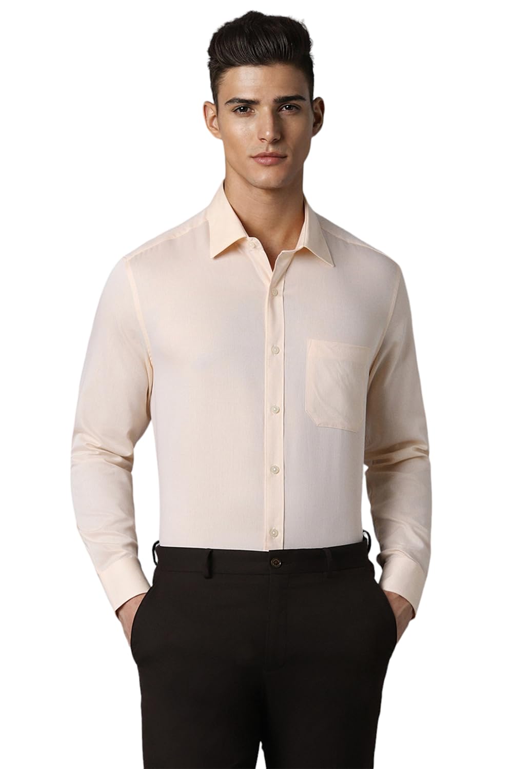 Louis Philippe Men Beige Classic Fit Textured Full Sleeves Formal Shirt
