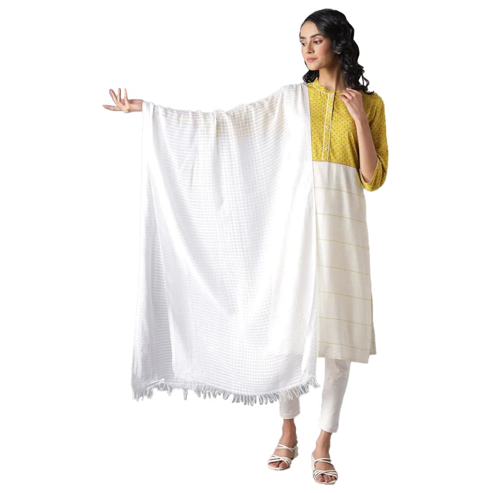 Aurelia Women Cream Cotton Yarn Dyed Dupatta_22Cra80006-703069_Fs