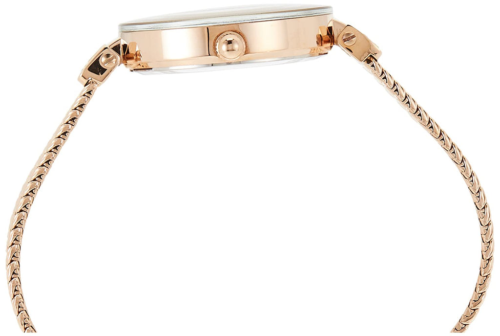 Anne Klein Women's Premium Crystal Accented Mesh Bracelet Watch