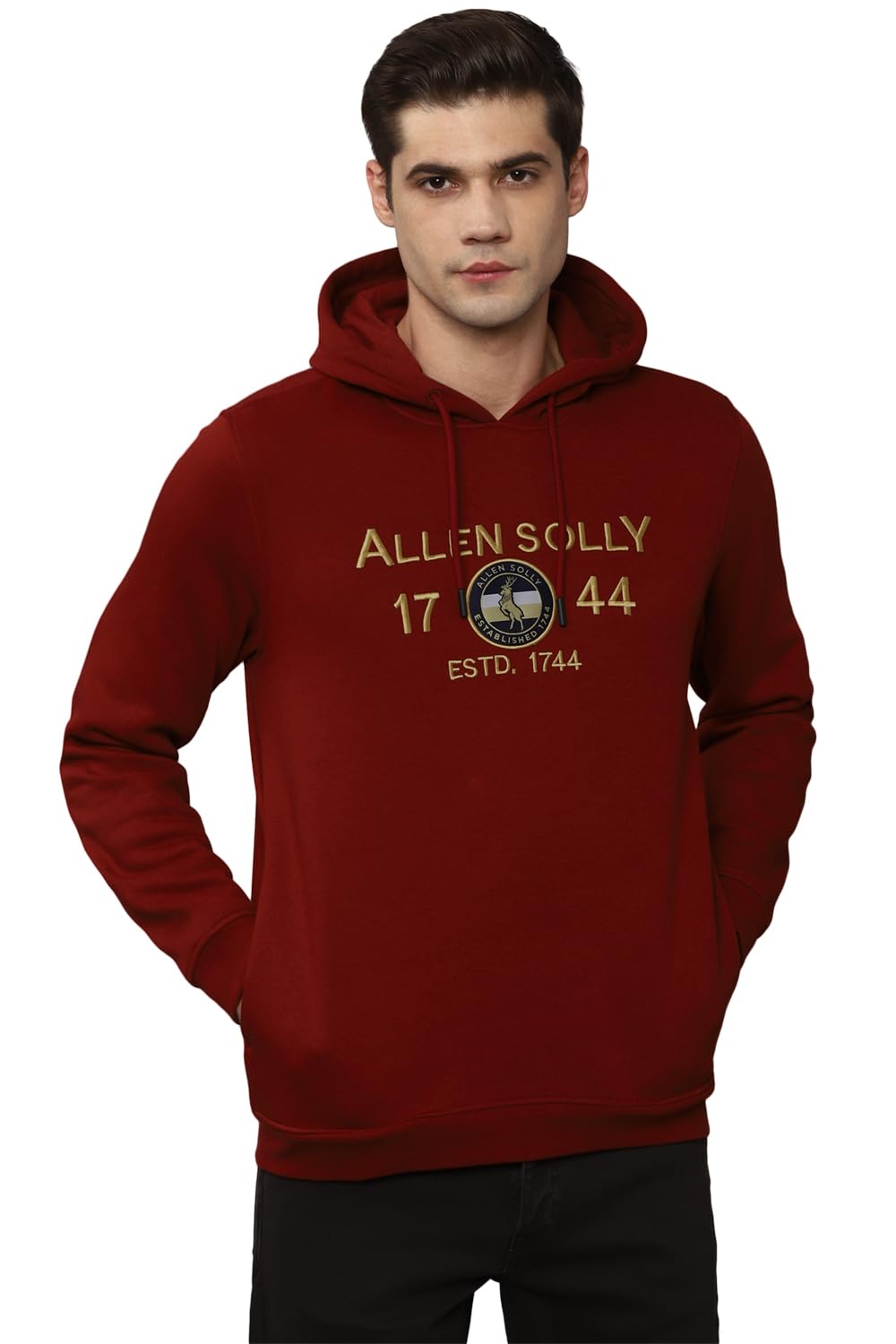 Allen Solly Men Casual Full Sleeve Hoodie