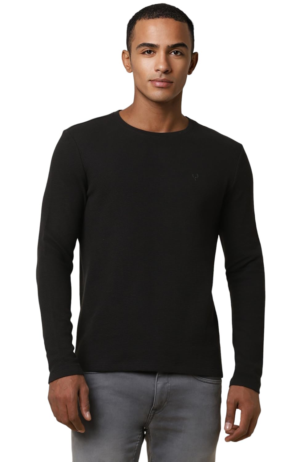 Allen Solly Men Solid Casual Full Sleeve Crew Neck T-Shirt