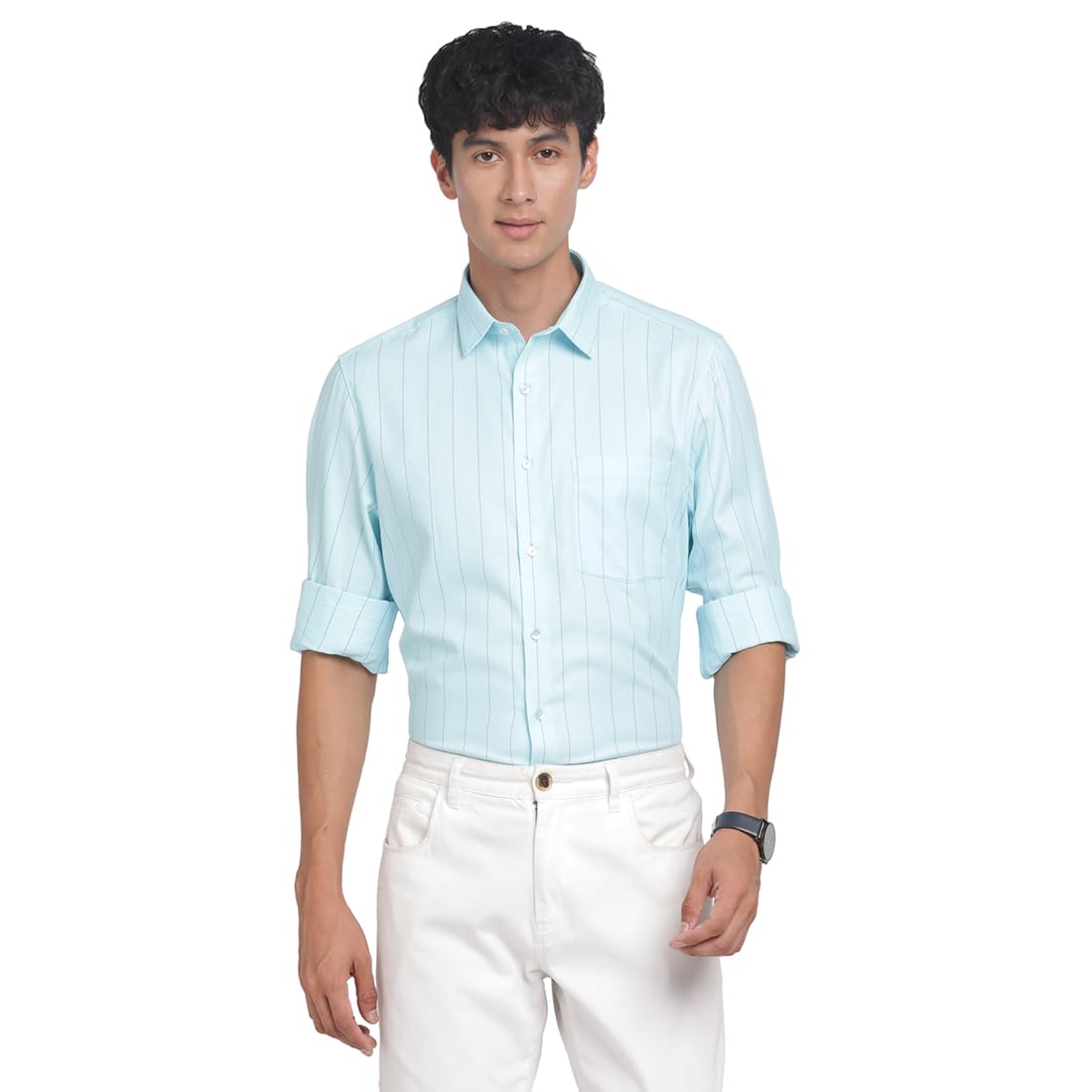 Turtle Men 100% Cotton Regular Fit Mint Green Stripe Full Sleeve Formal Shirt
