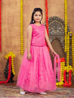 Aarika Girls Ethnic Wear Gajri Colour Thread Embroidery Net Lehenga Choli Set (4-10 Years)