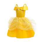 Dressy Daisy Toddler Little Girls' Princess Costume Fancy Dresses up Halloween Party with Accessories Gold 2T to 3T