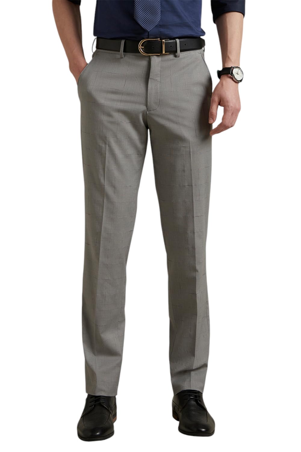 Louis Philippe Men Mid Rise Regular Work Utility Pants (Lptfmrgbg24139_Grey, 36)