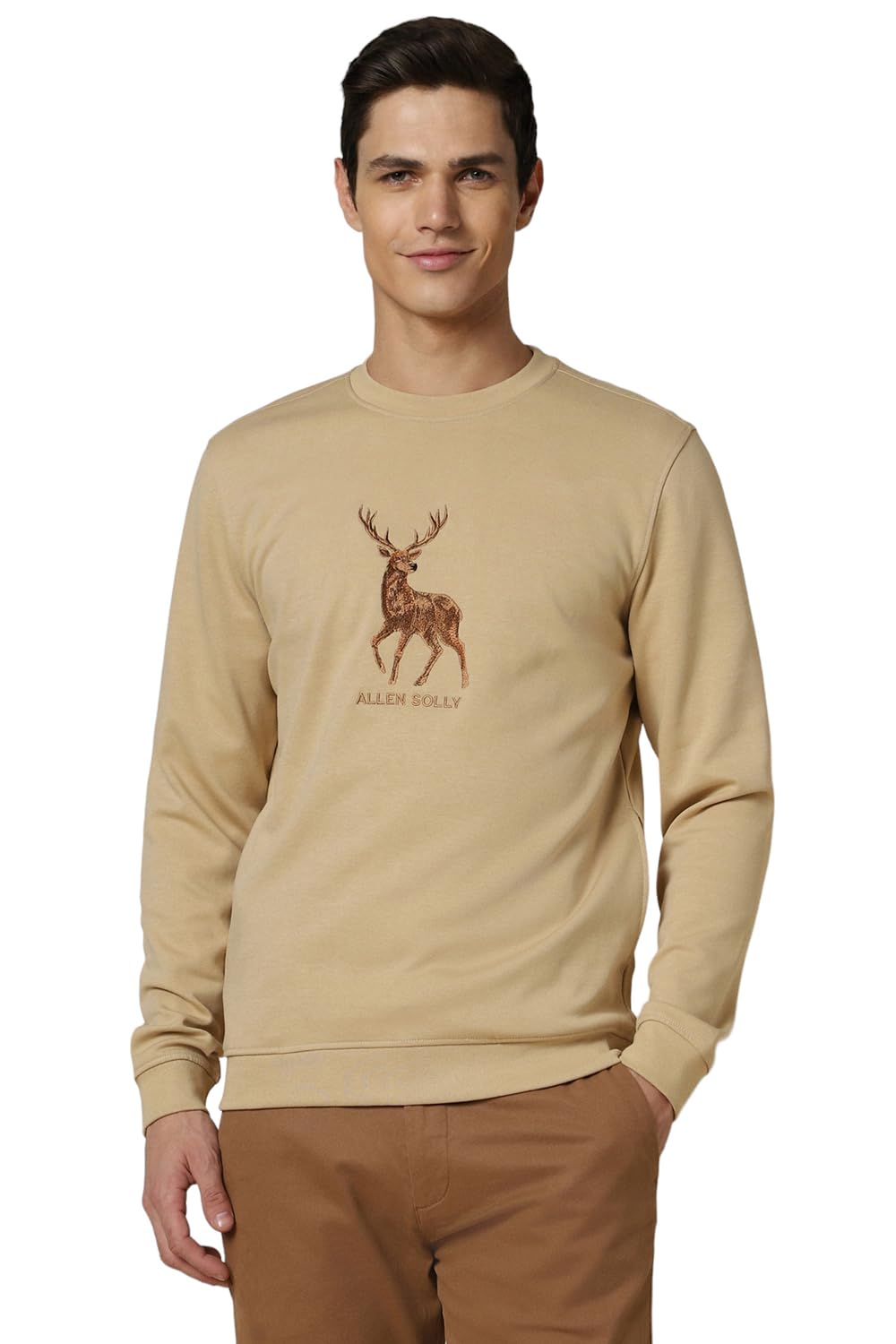 Allen Solly Men Solid Casual Cotton Polyester Full Sleeve T-Shirt