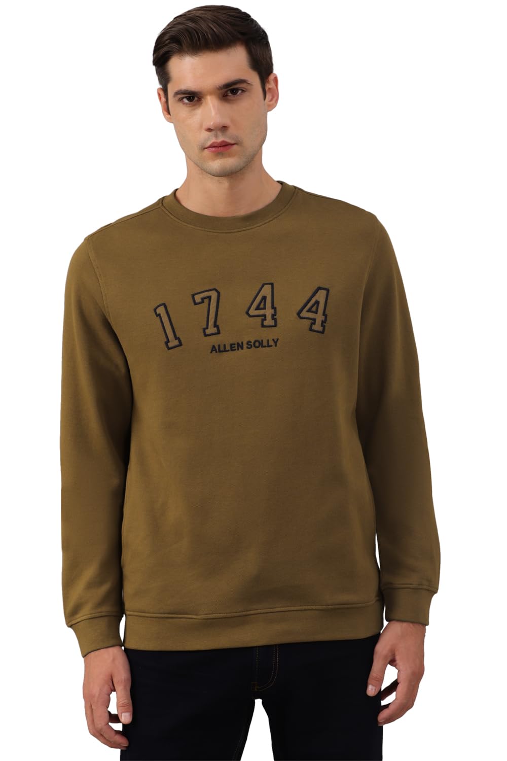 Allen Solly Men Regular Fit Solid Casual Full Sleeve Crew Neck T-Shirt