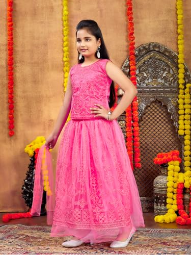 Aarika Girls Ethnic Wear Gajri Colour Thread Embroidery Net Lehenga Choli Set (4-10 Years)