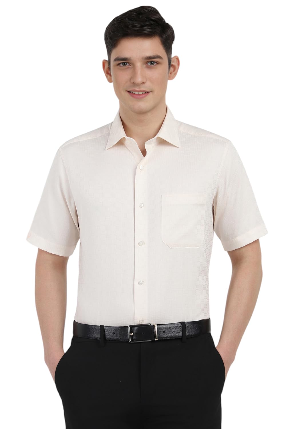 Allen Solly Men Regular Fit Formal Half Sleeve Short Sleeve Shirt
