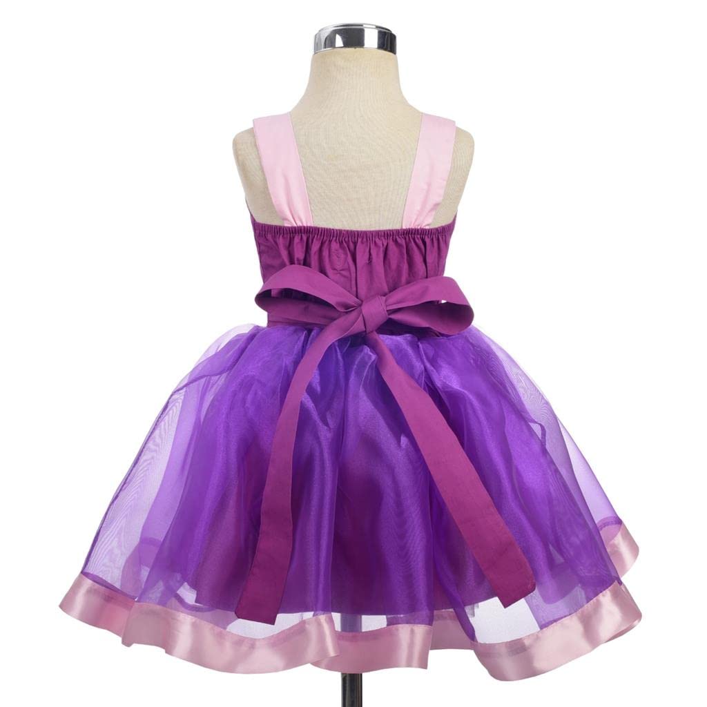Dressy Daisy Princess costumes Birthday Fancy Halloween Xmas Party Dresses Up Organza for Toddler girls with Accessories Size