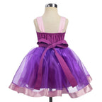 Dressy Daisy Princess costumes Birthday Fancy Halloween Xmas Party Dresses Up Organza for Little girls