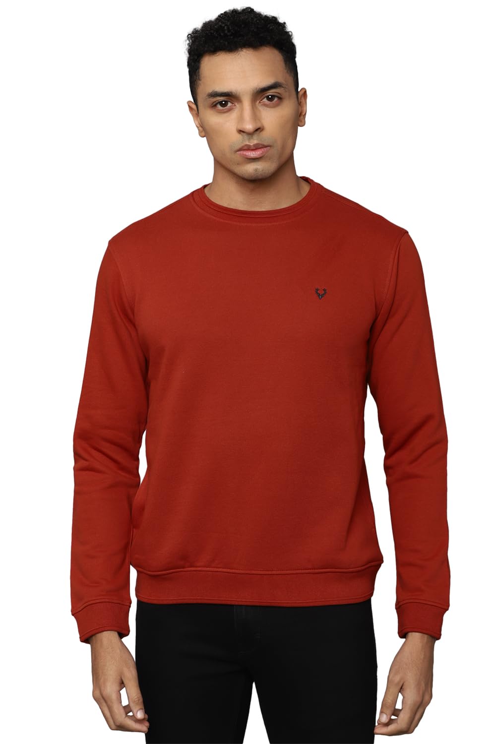Allen Solly Men Regular Fit Casual Cotton Full Sleeve Crew Neck T-Shirt