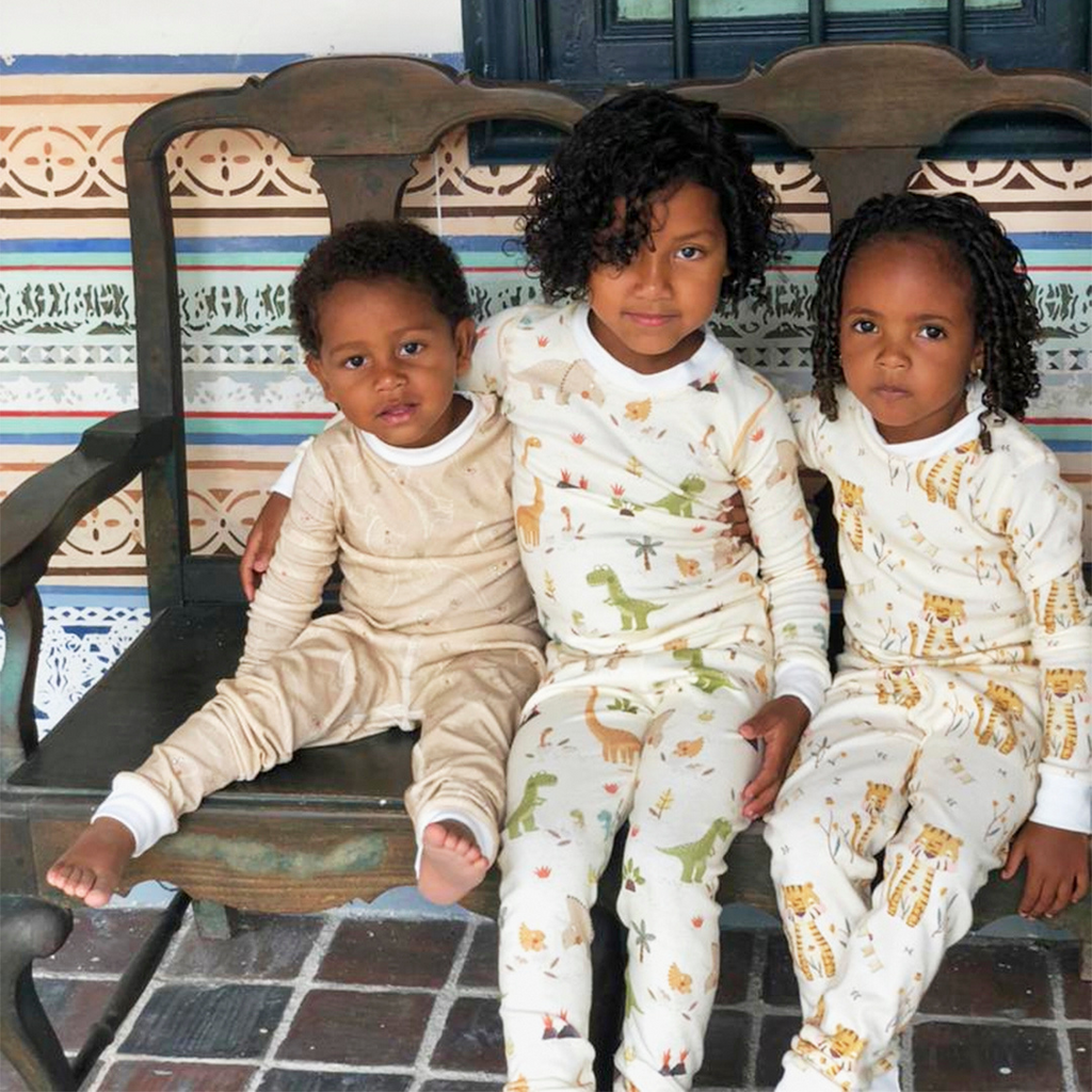 Dinosaur Organic Cotton Pajamas