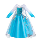 Dressy Daisy Little Girls' Ice Princess Dress Costume Birthday Halloween Christmas Fancy Party Dresses with Cape and Accessories