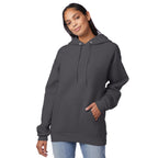 Hanes Men's Pullover EcoSmart Hooded Sweatshirt, Smoke Grey, Small