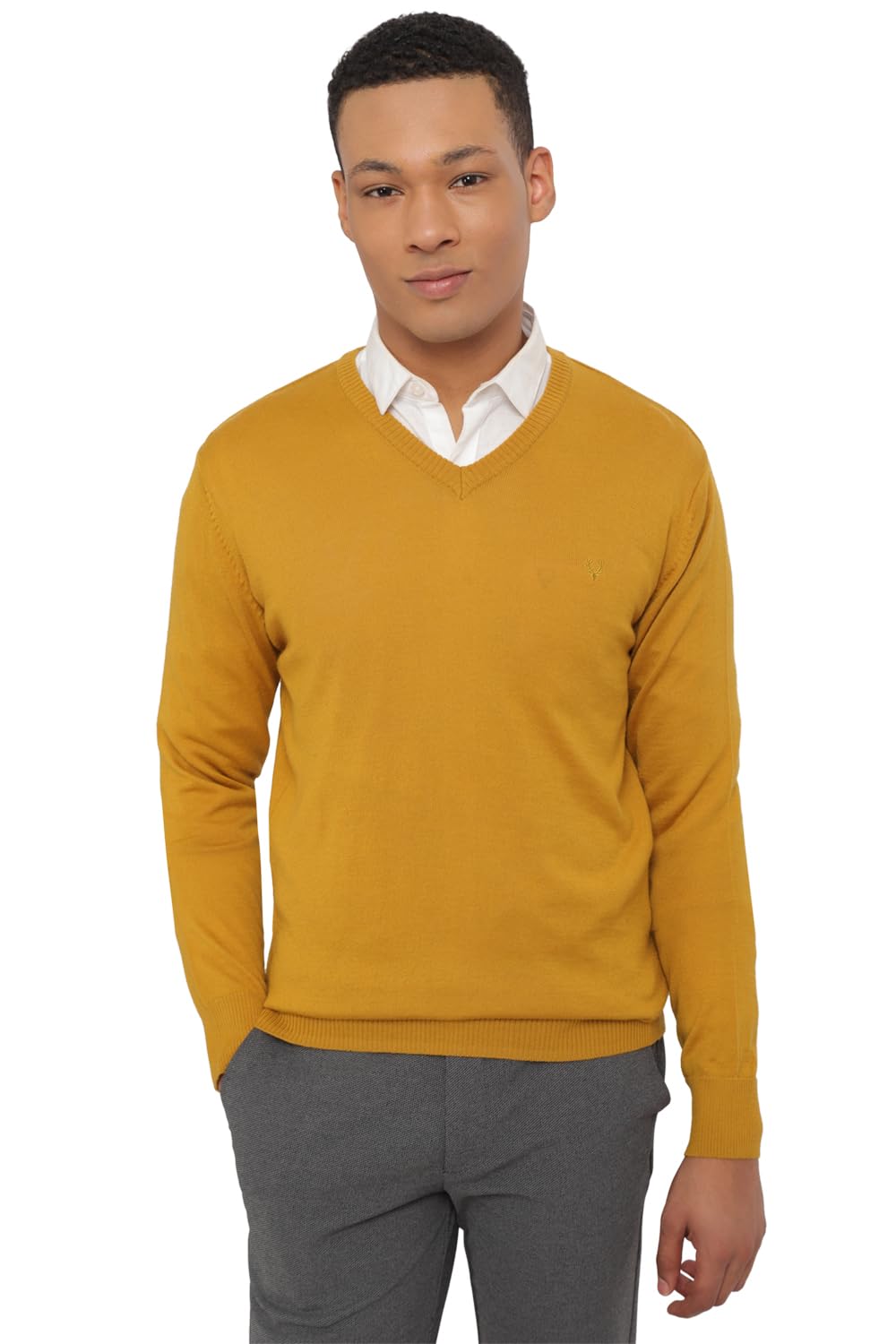 Allen Solly Men Solid Full Sleeve Pullover