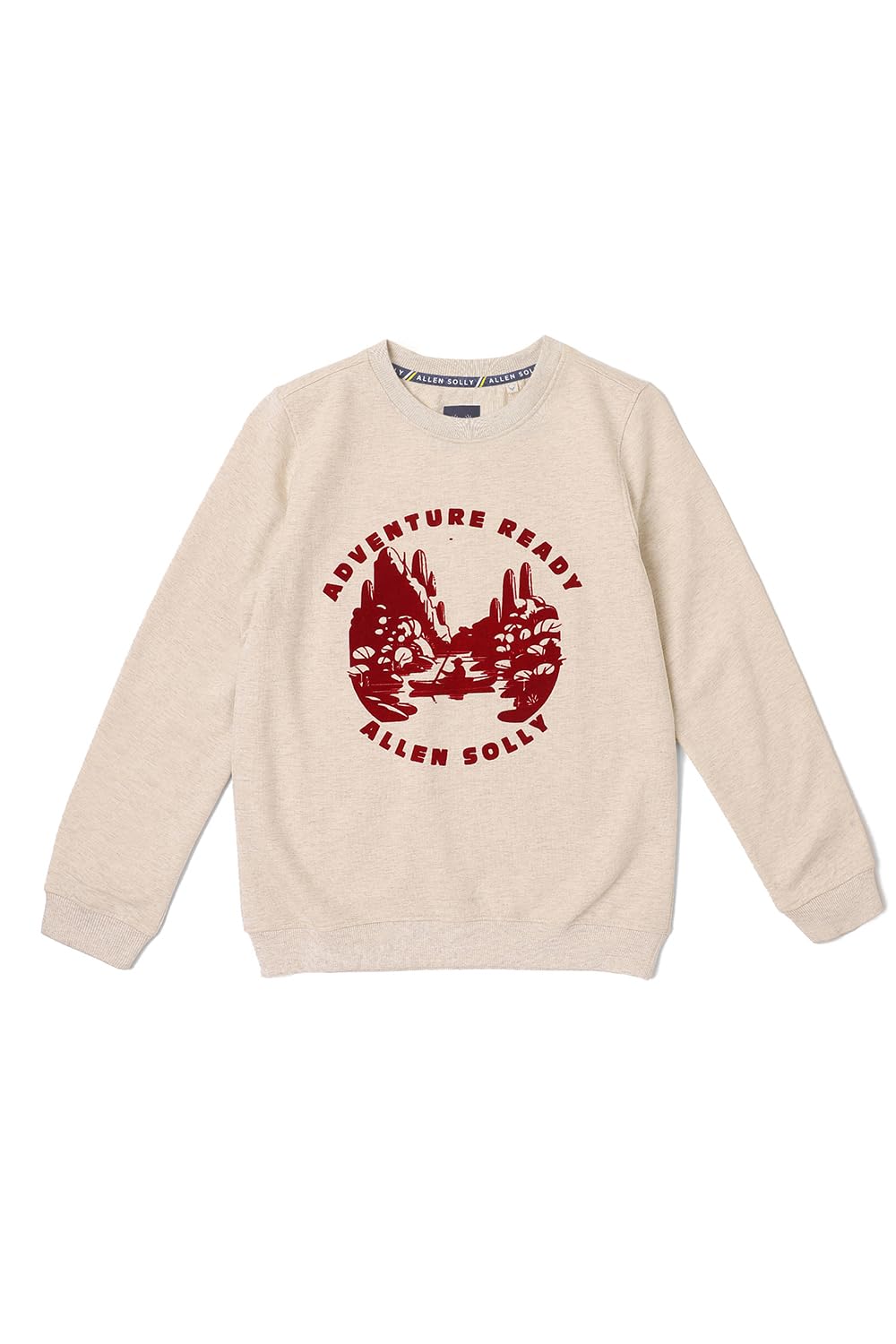Allen Solly Boys Beige Print Regular Fit Sweatshirt 15-16