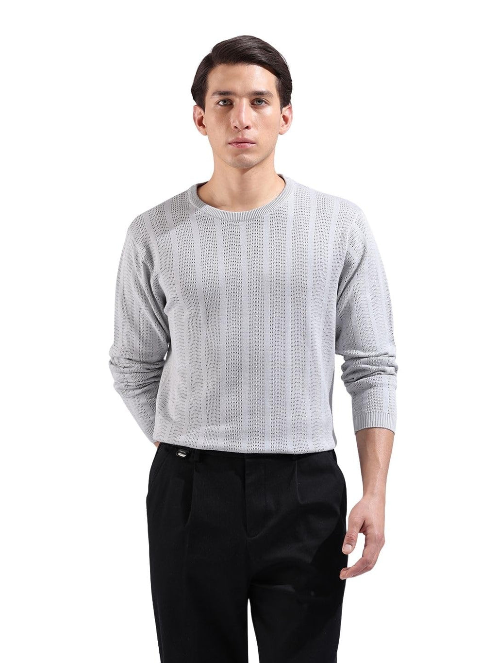 The Indian Garage Co Mens Slim Fit Textured Flatknit Full Sleeves Crew Neck T-Shirt