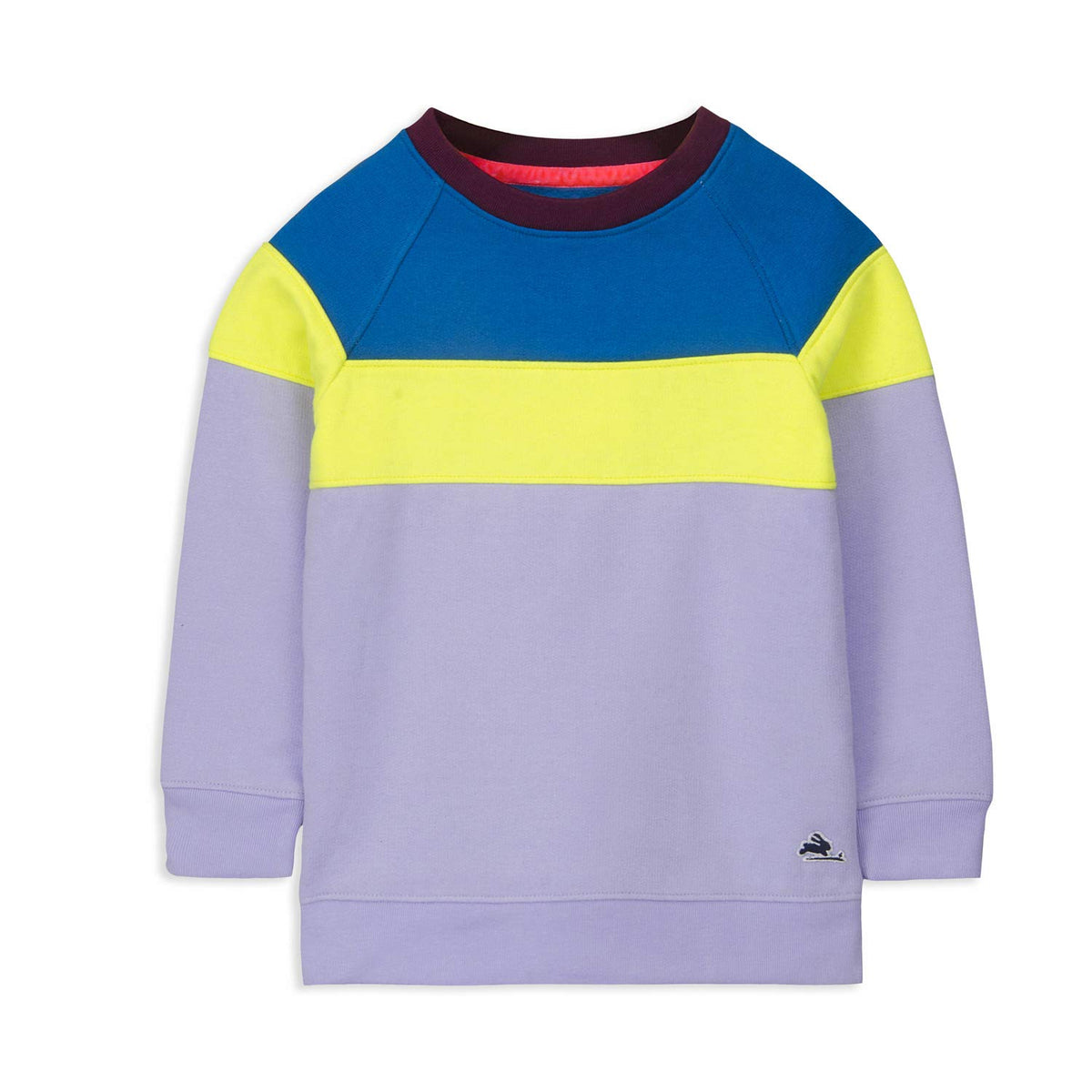 Cherry Crumble Purple Color Blocked Cotton Blend Full Sleeves Round Neck Casual Wear Regular Fit Winter Sweatshirt for Boys and  18-24