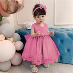 Lottle Girls Christmas Embroidery Lace Dresses Infant Easter Halloween Wedding Formal Event Dress(Dust Pink,120)